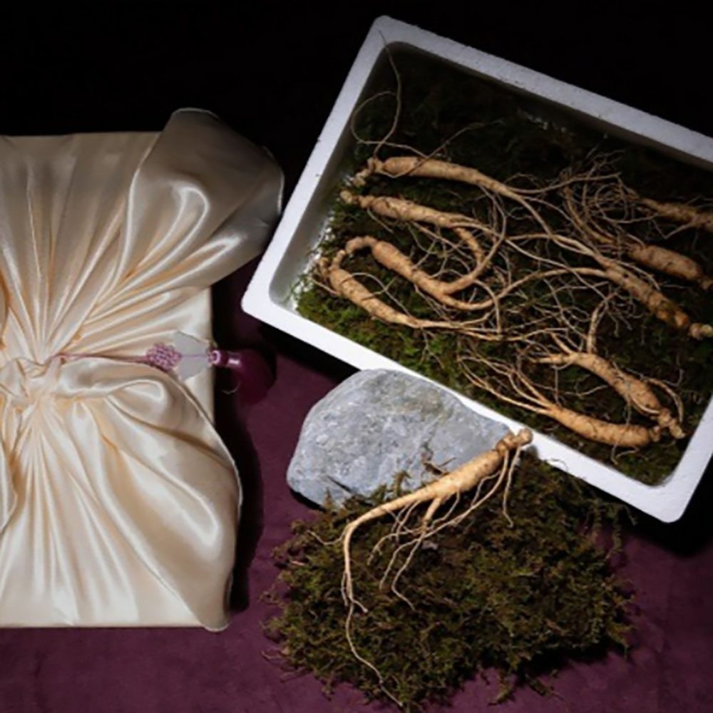 1704950493 thumbnail