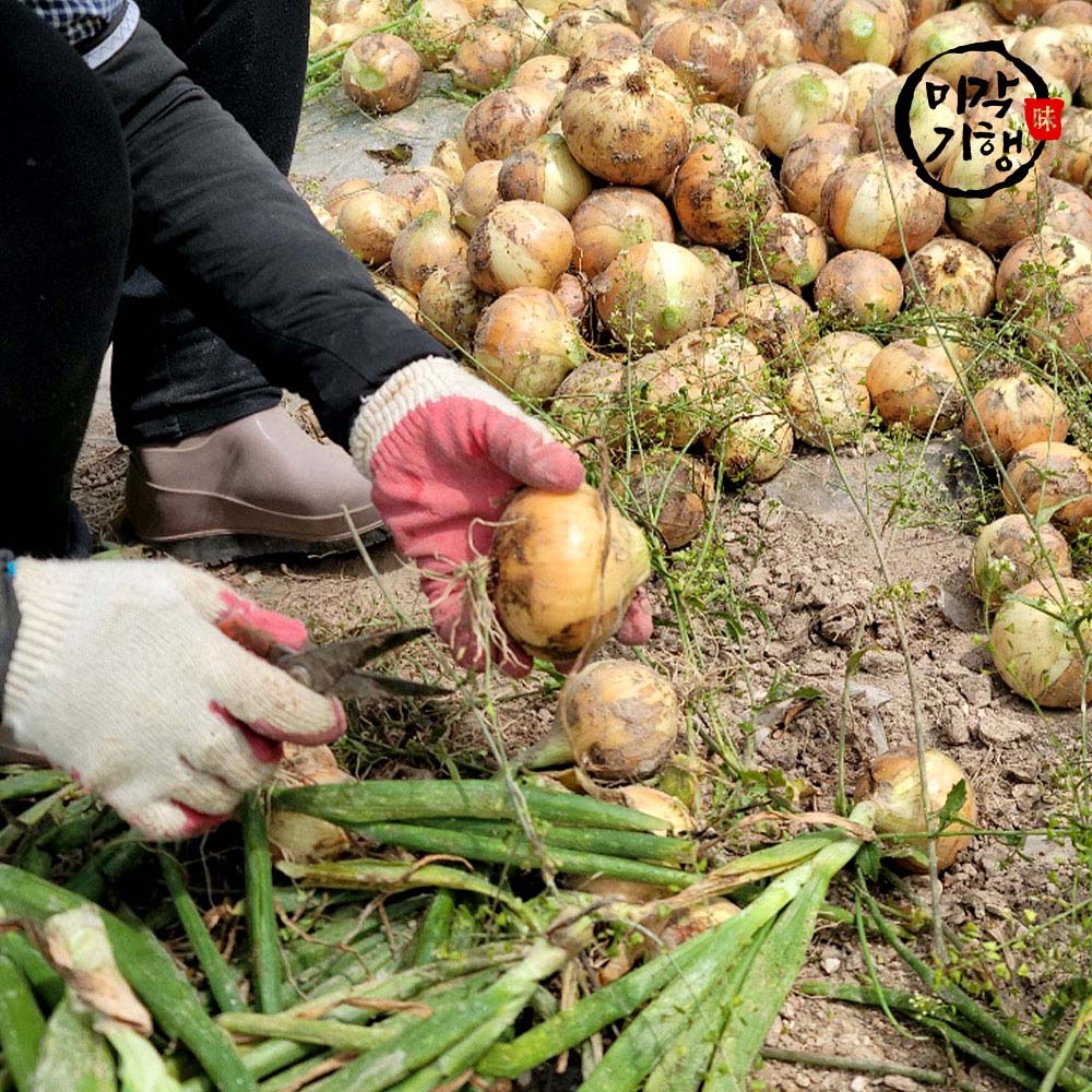 1704950502 thumbnail