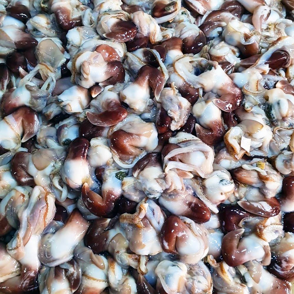 1705032315 thumbnail