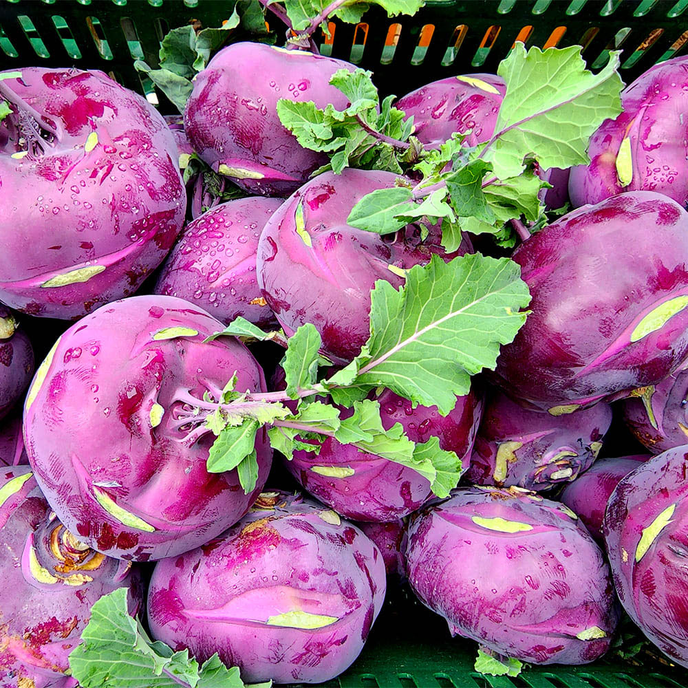 1705032318 thumbnail