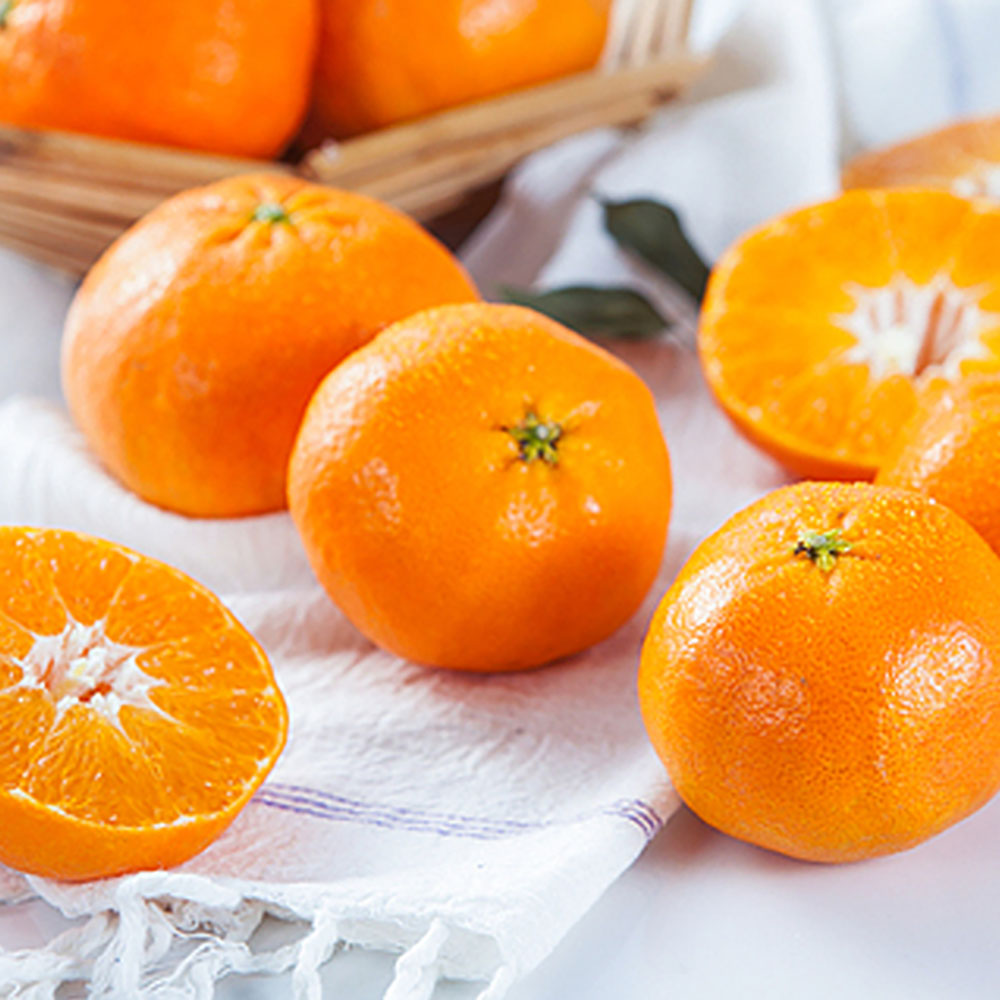 1705032321 thumbnail