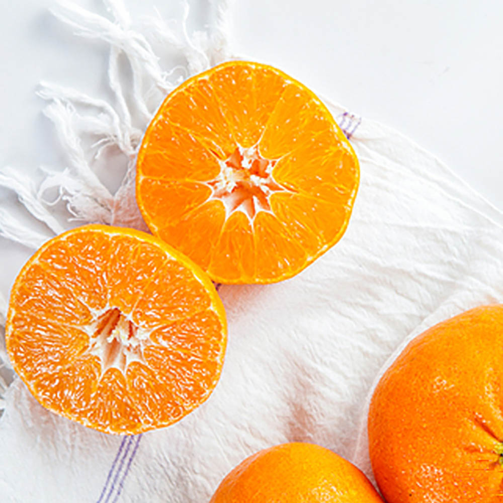 1705032323 thumbnail