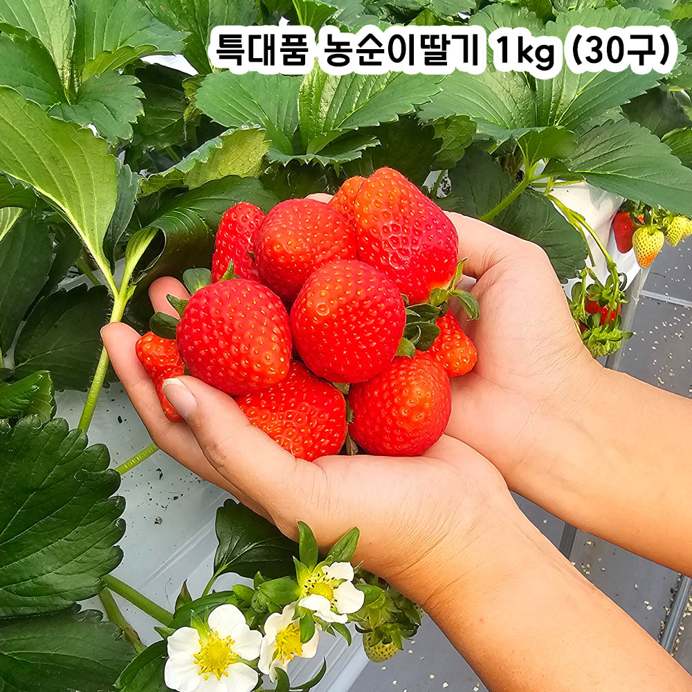 1705042271 thumbnail