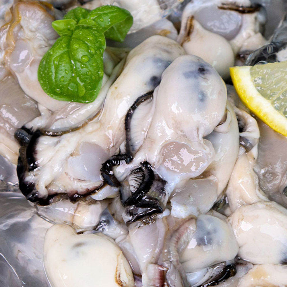 1705042293 thumbnail