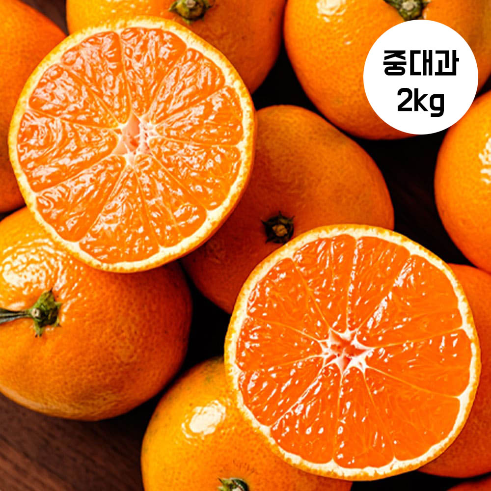 1705042297 thumbnail