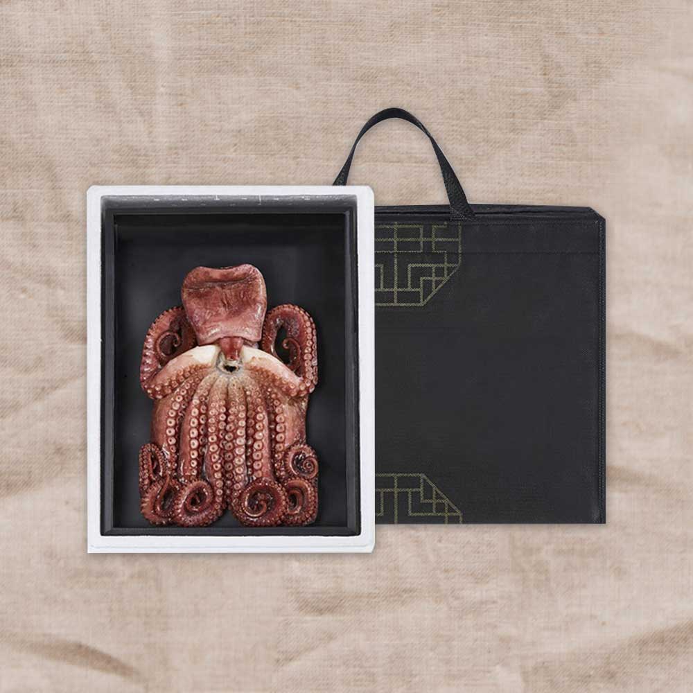 1705042509 thumbnail