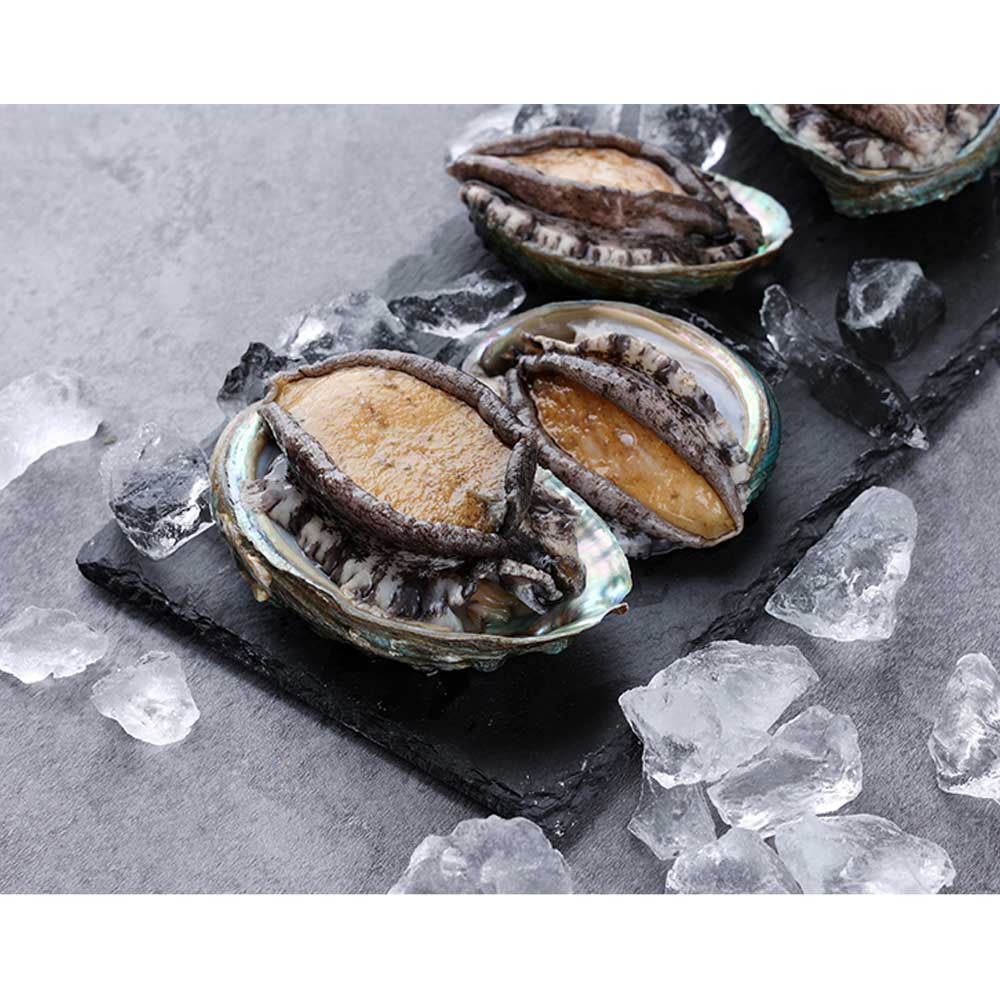 1705042544 thumbnail