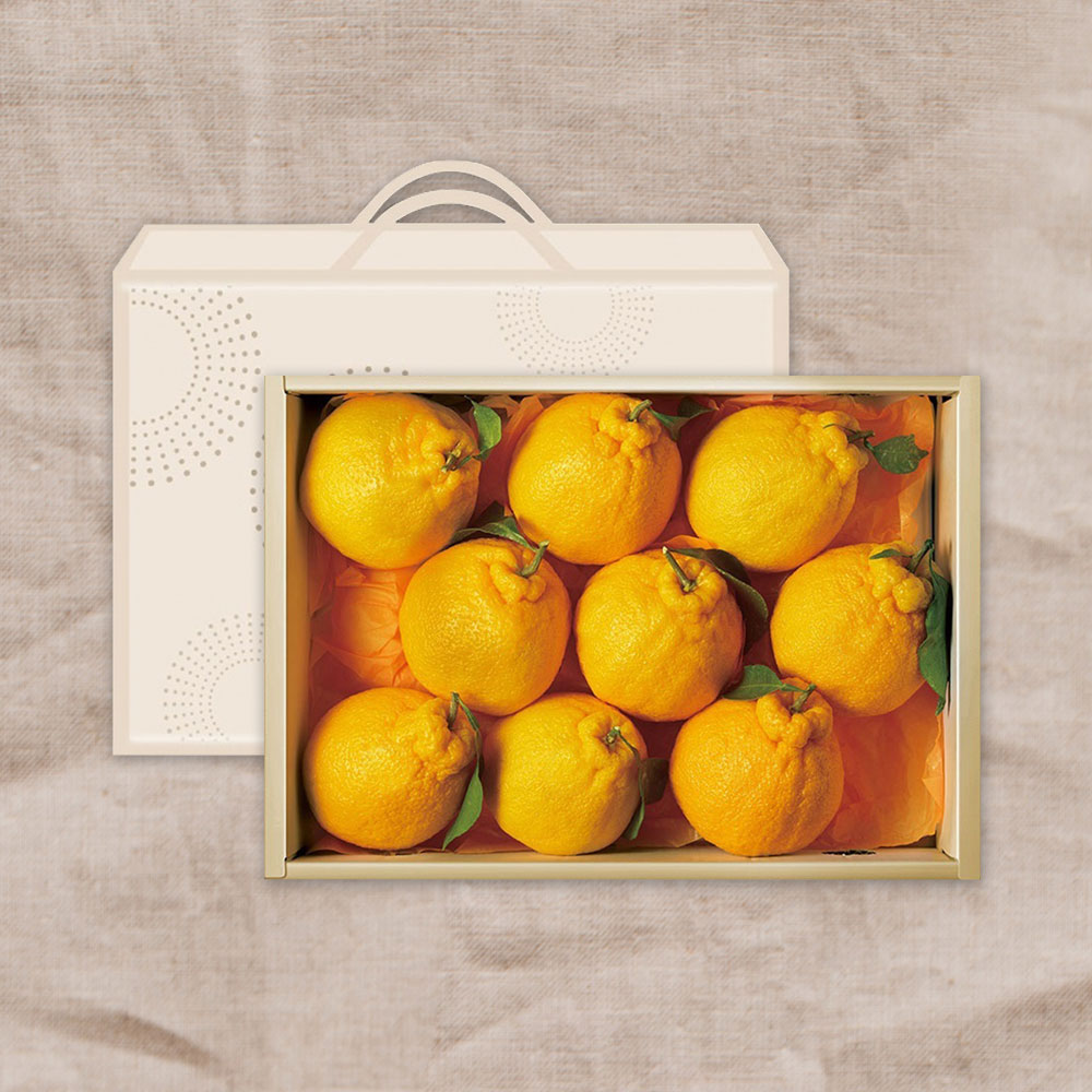 1705042557 thumbnail