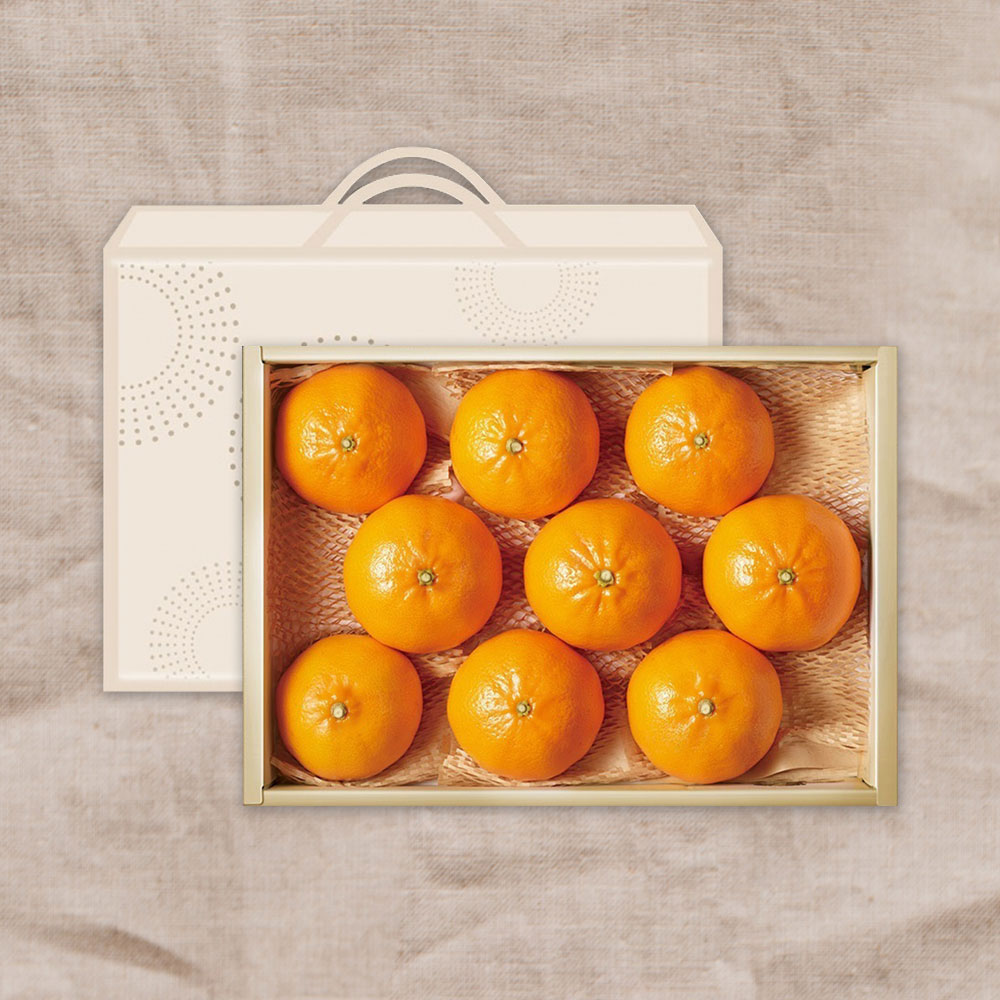 1705042558 thumbnail