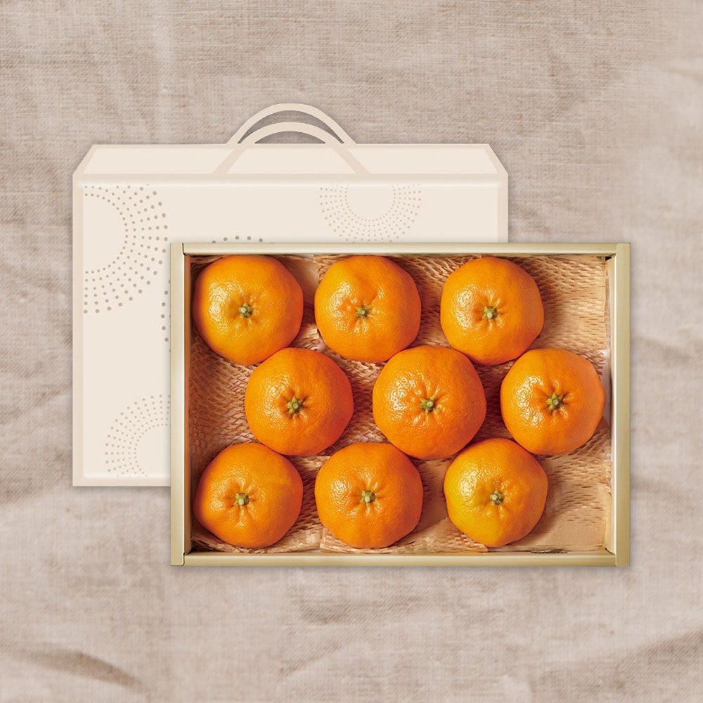 1705042560 thumbnail