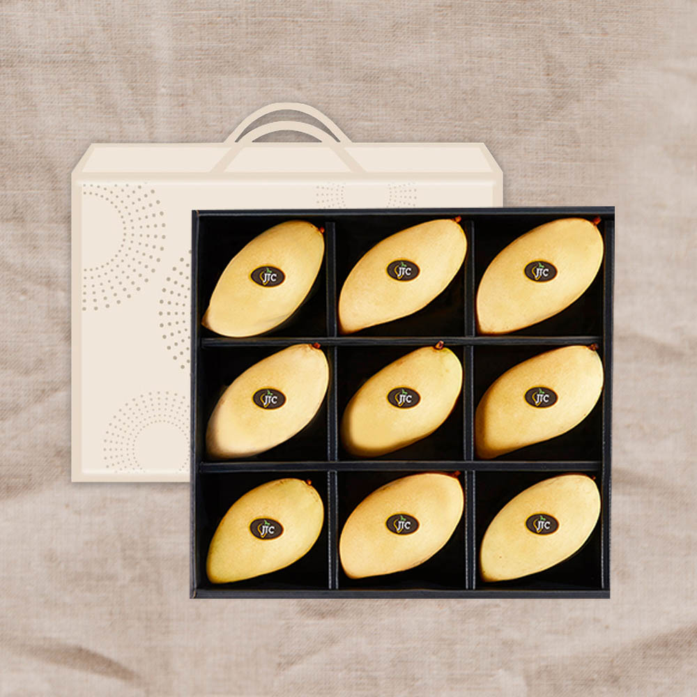 1705042582 thumbnail