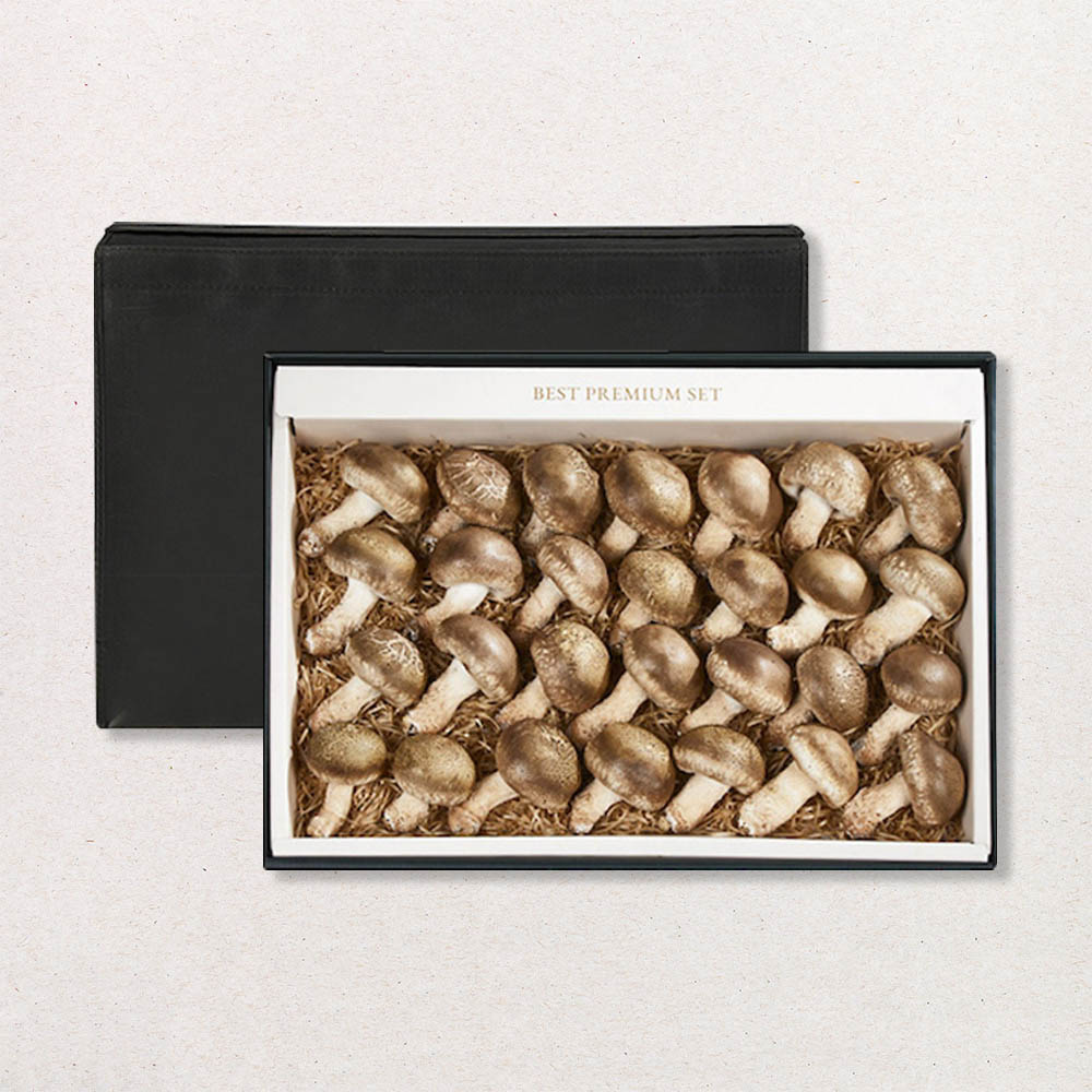 1705042589 thumbnail