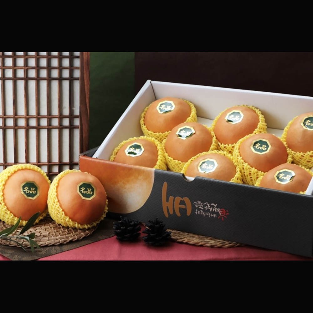 1705289476 thumbnail