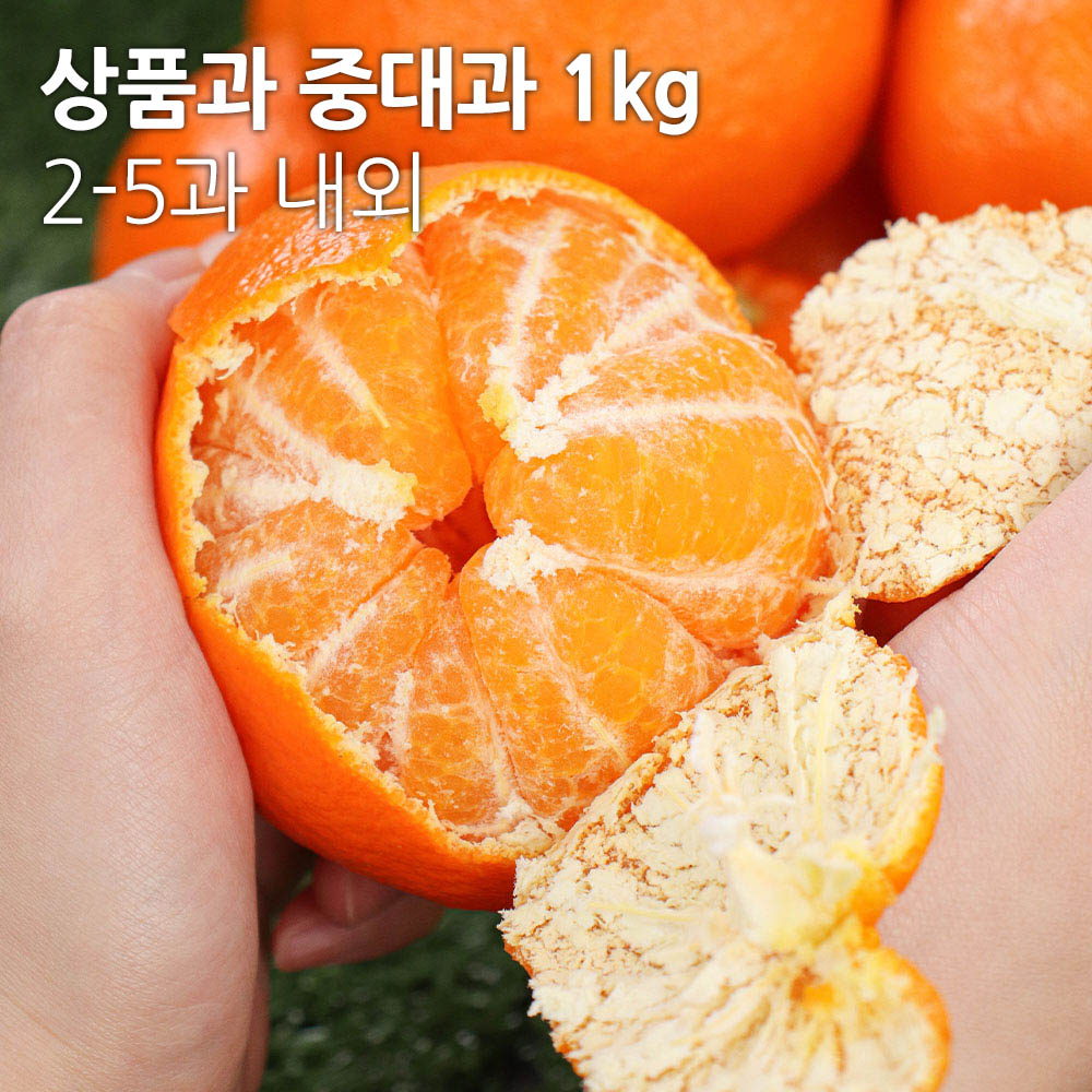 1705457646 thumbnail