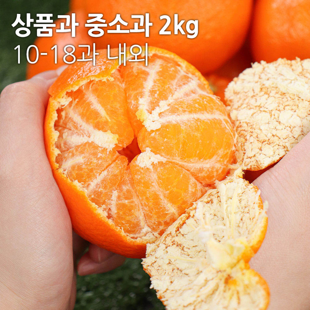 1705457647 thumbnail