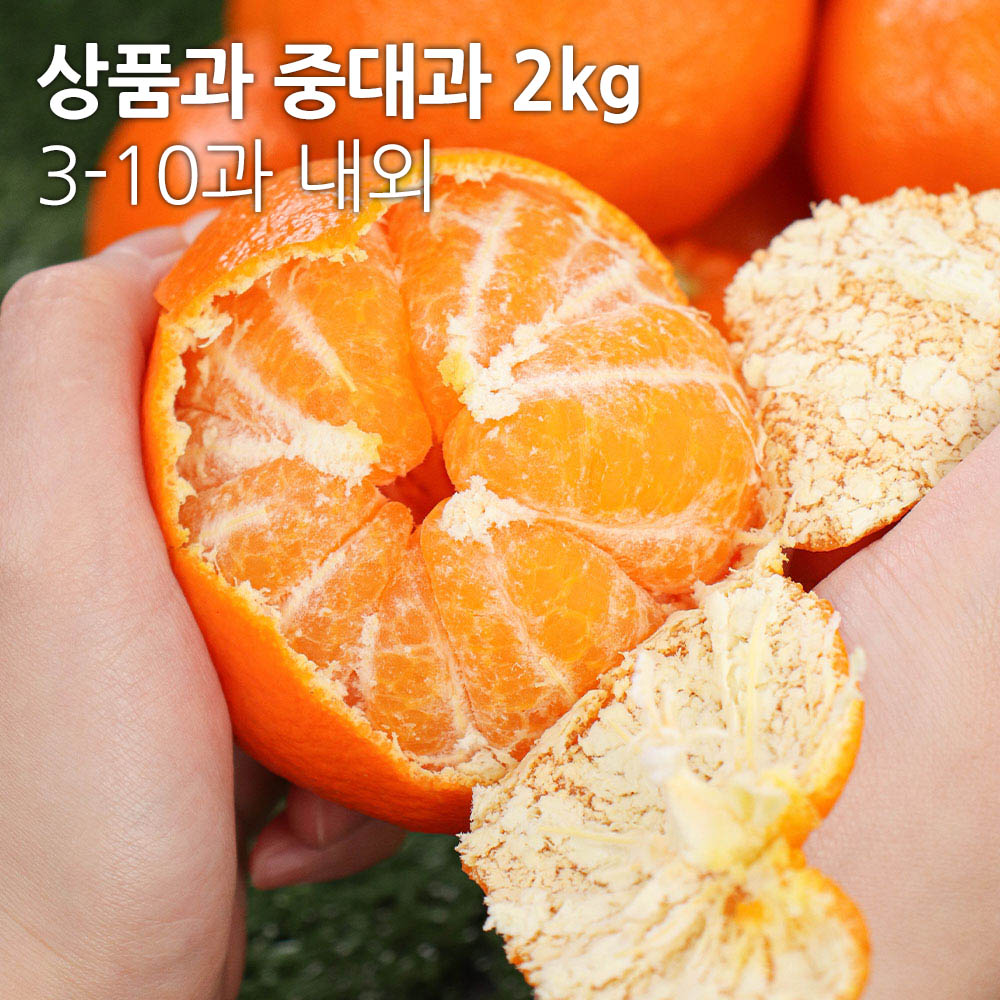 1705457648 thumbnail