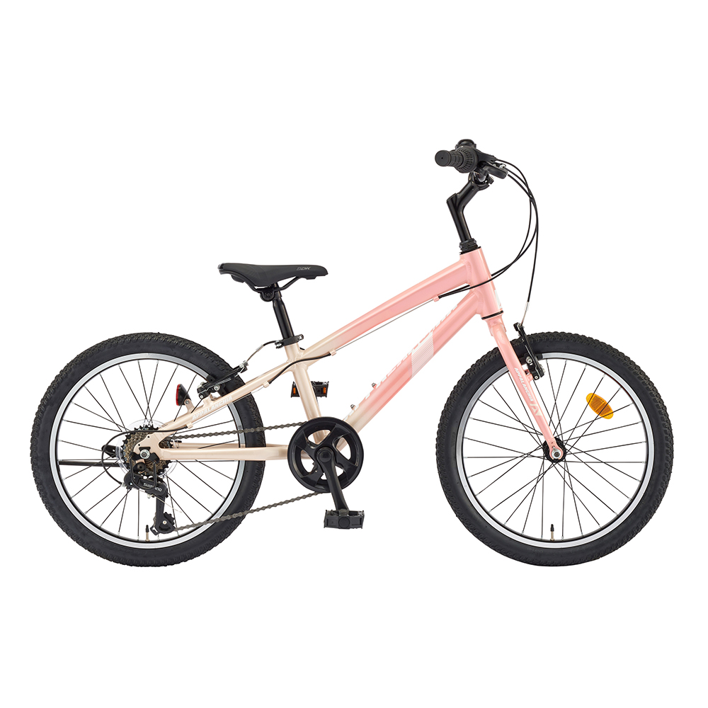 1705559811 thumbnail