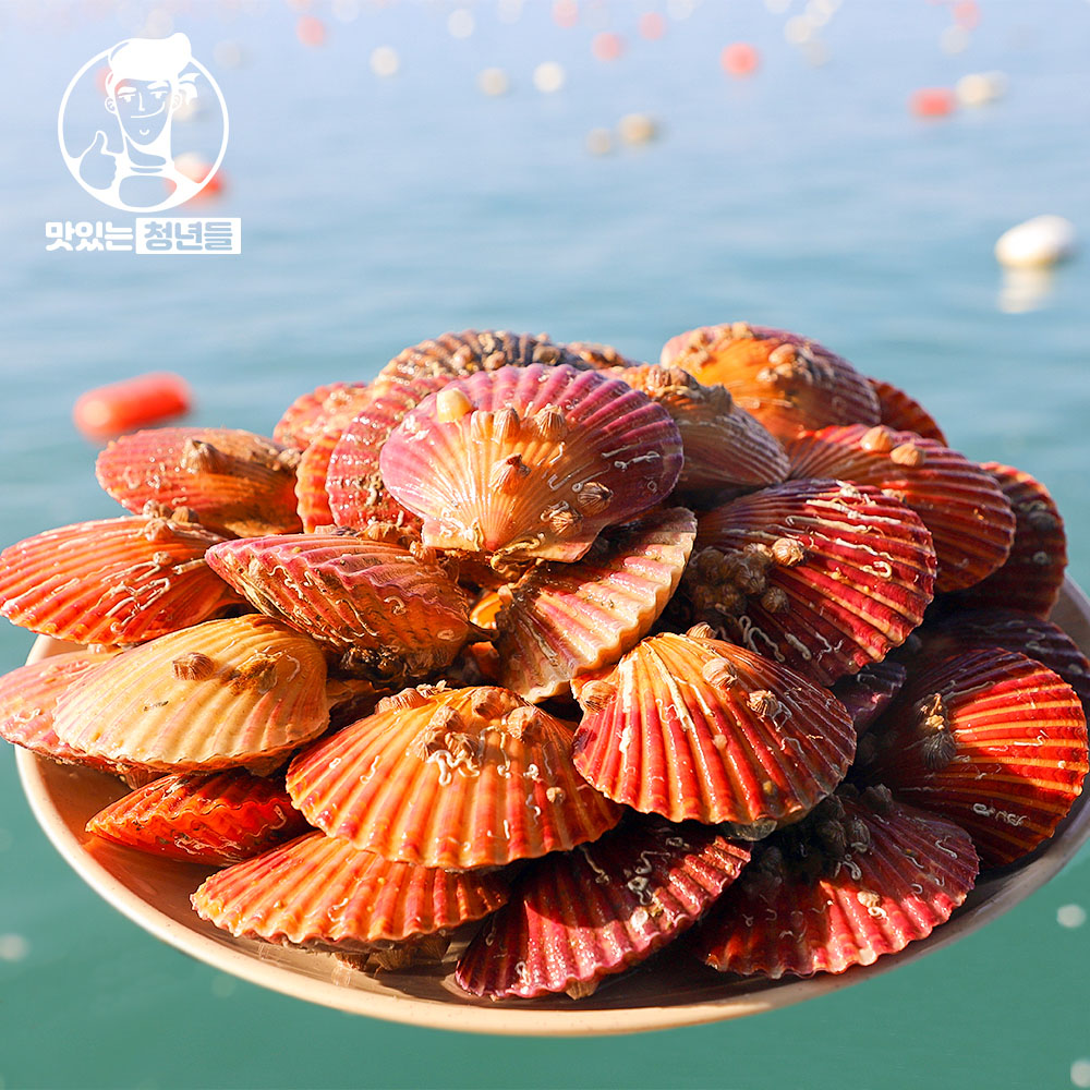 1705566318 thumbnail