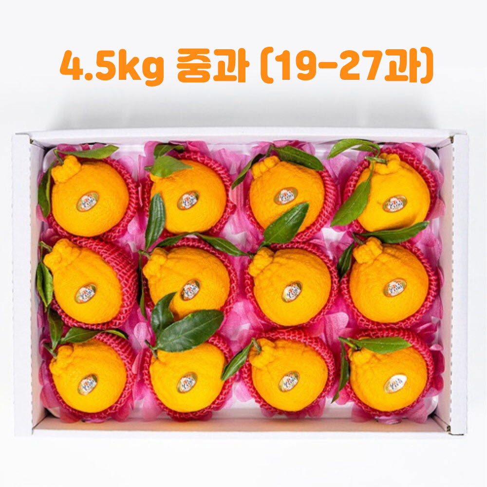 1705647623 thumbnail