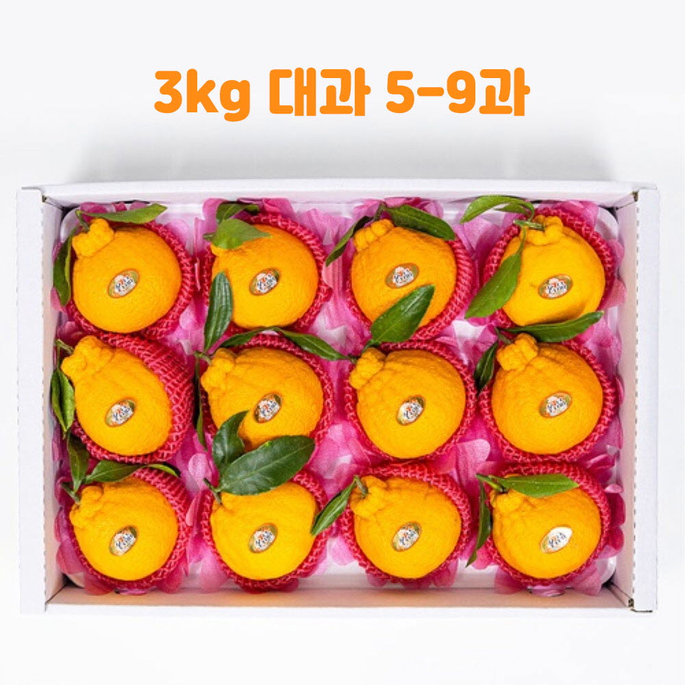 1705647625 thumbnail