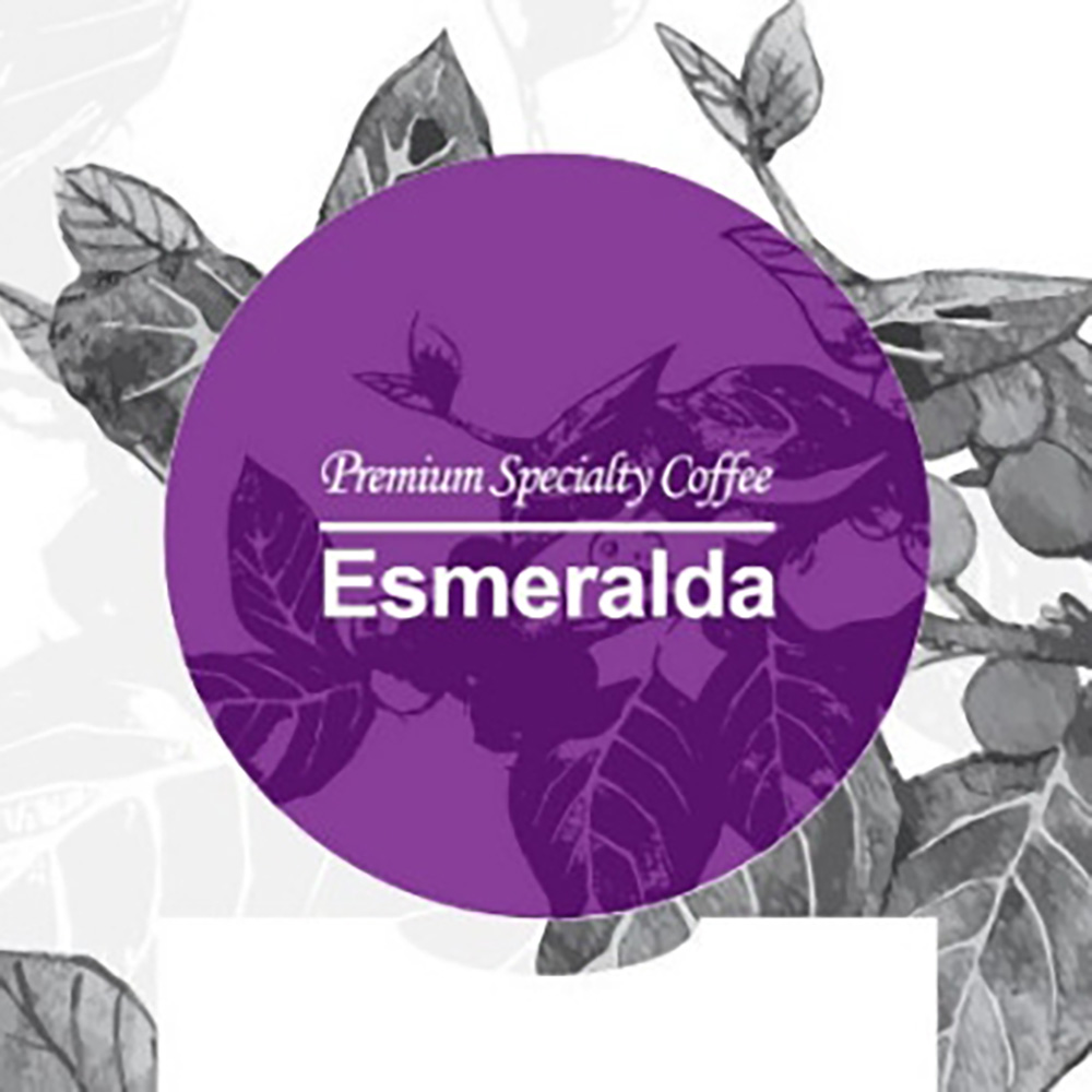 1705998286 thumbnail