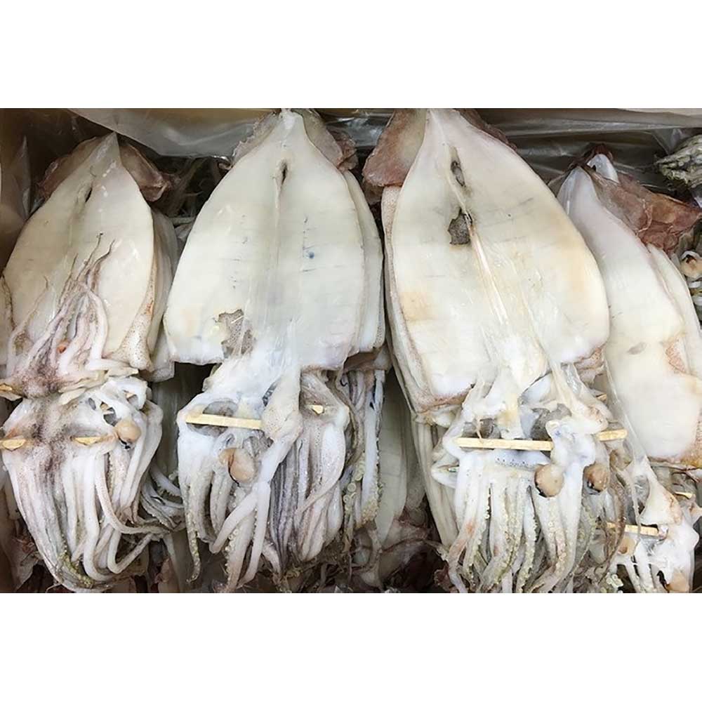 1706230311 thumbnail