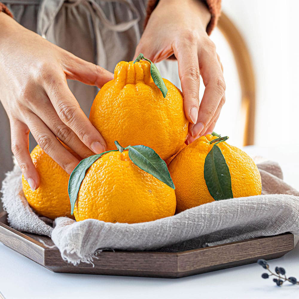 1706230317 thumbnail