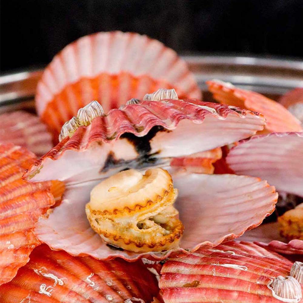 1706230318 thumbnail