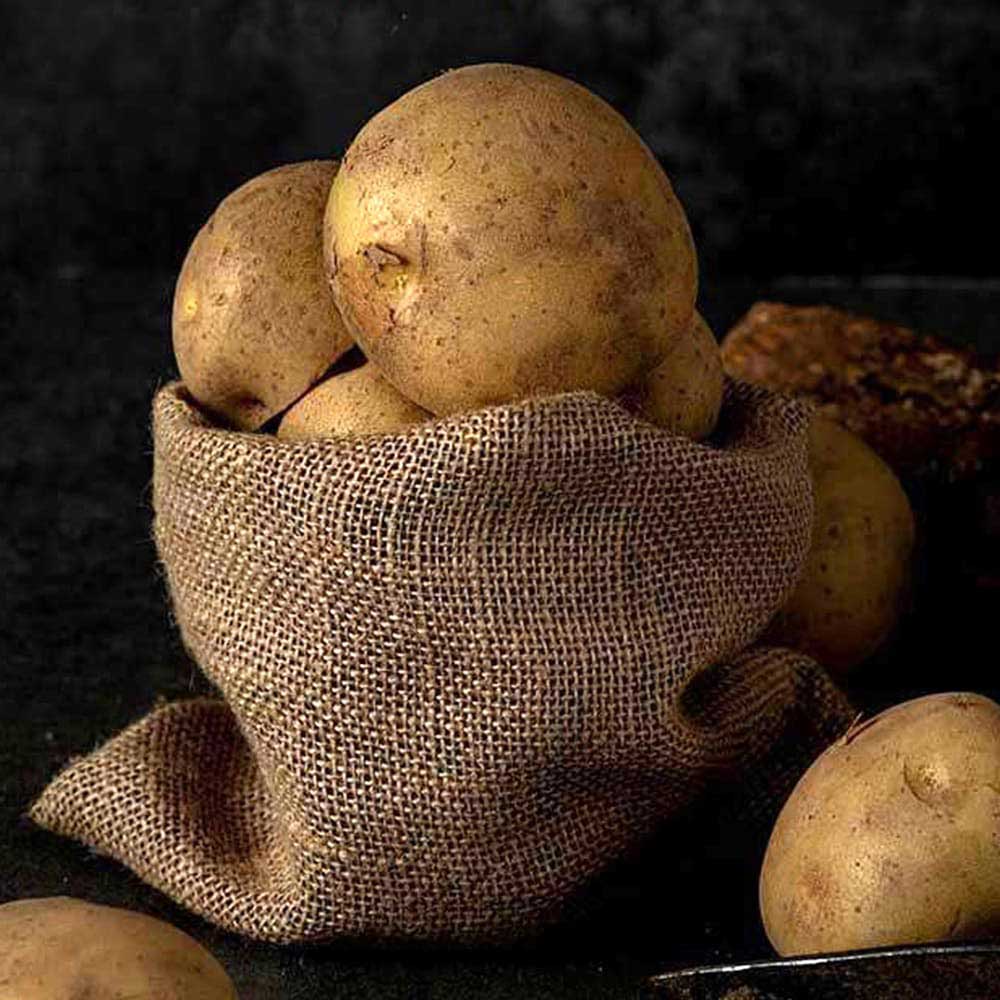 1706230350 thumbnail