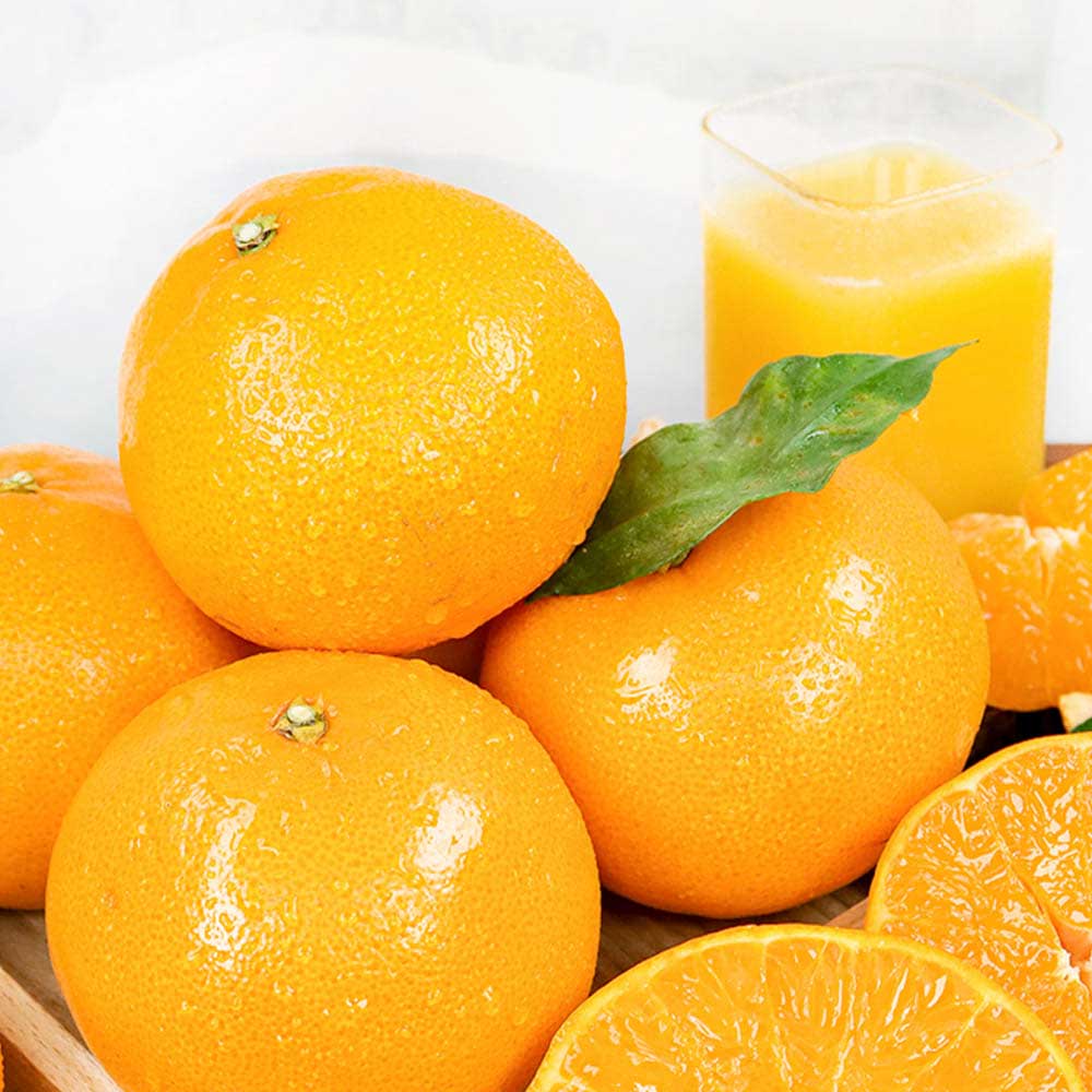 1706230355 thumbnail