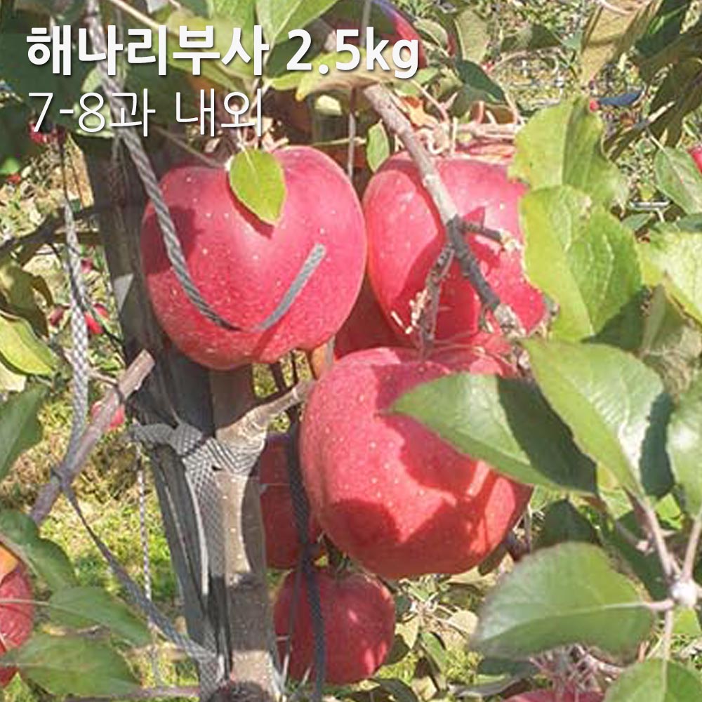 1706496908 thumbnail