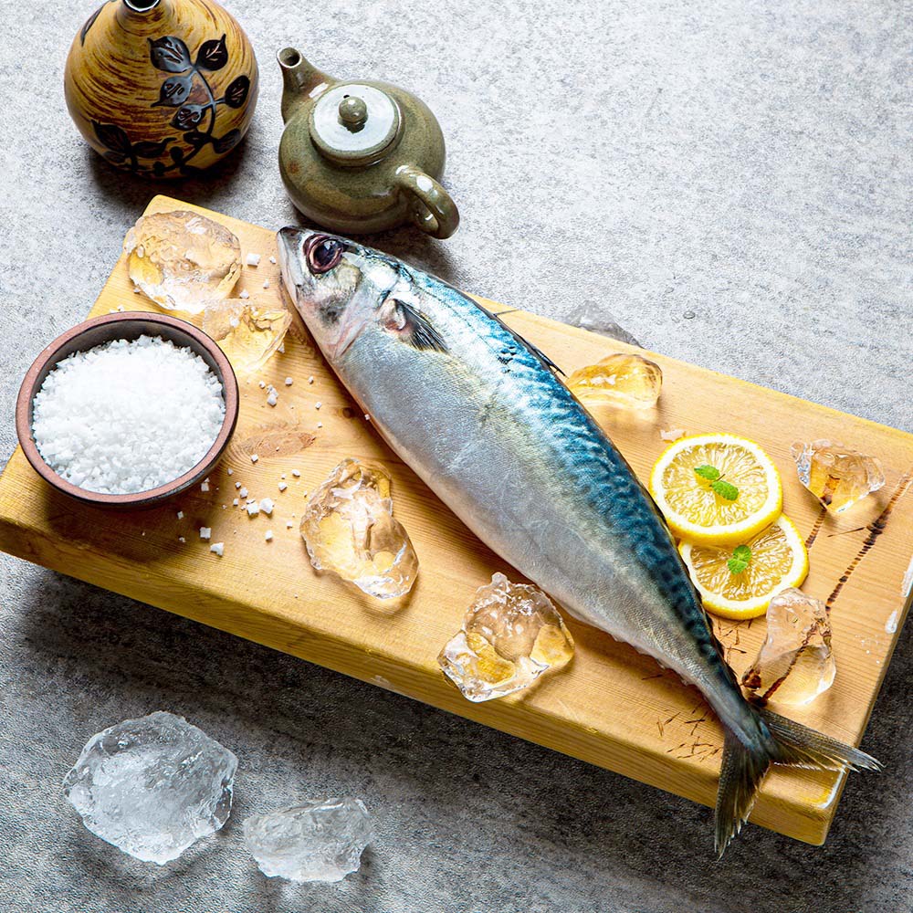 1708934198 thumbnail