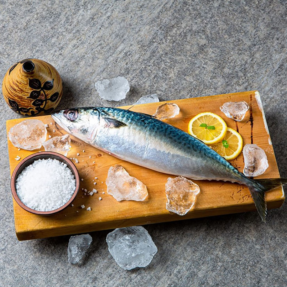 1708934199 thumbnail