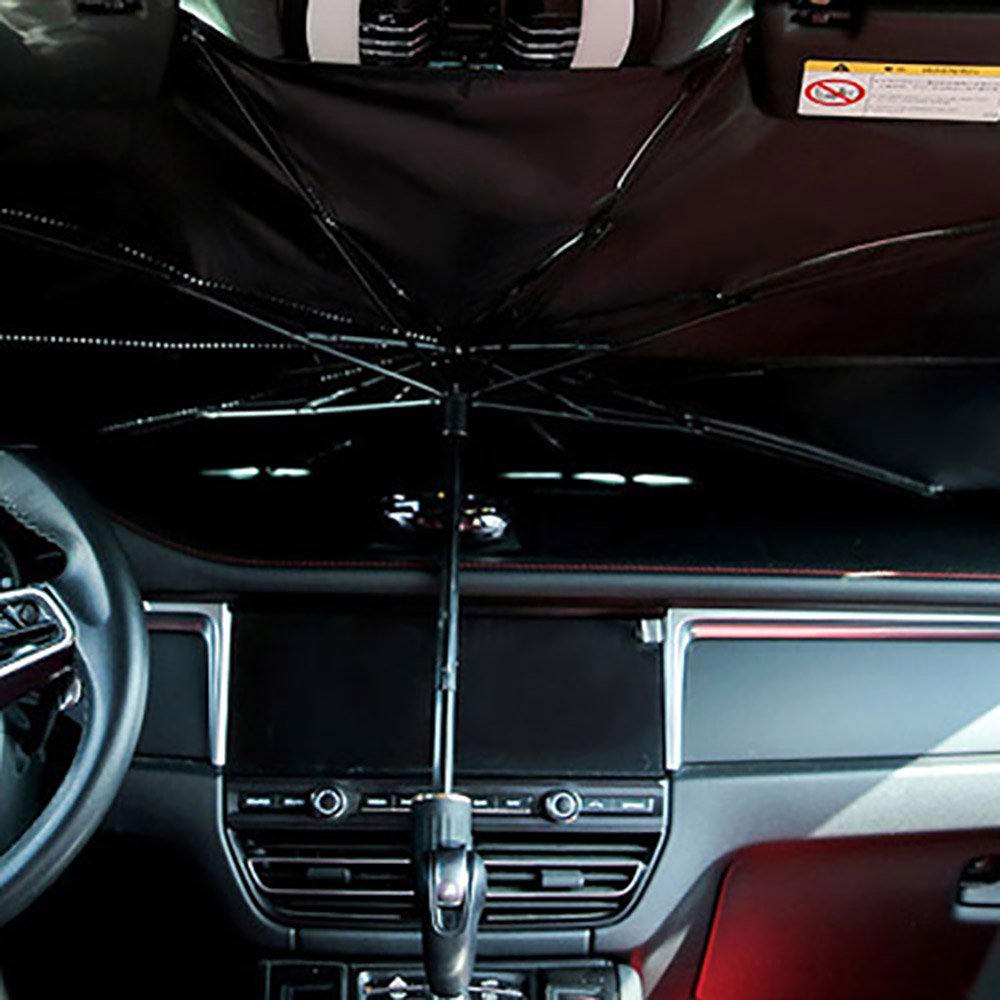 1708934242 thumbnail