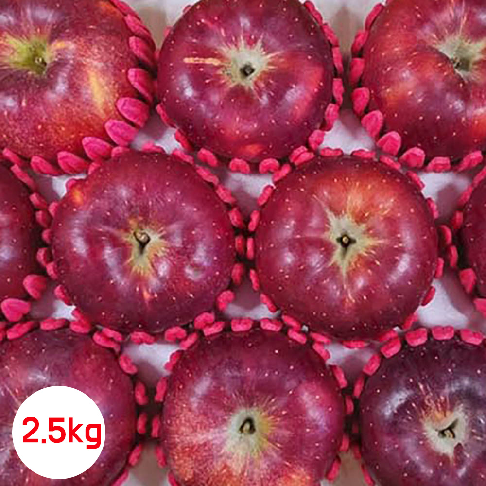 1708995938 thumbnail