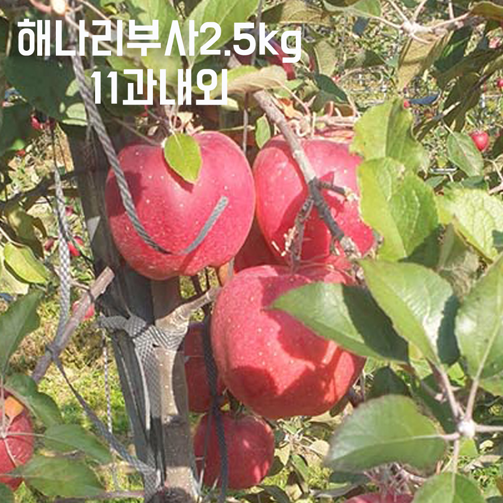 1708995944 thumbnail