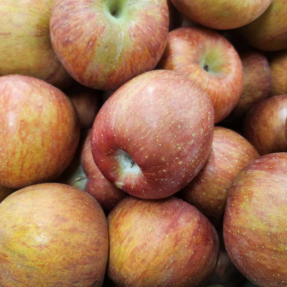 1708997111 thumbnail