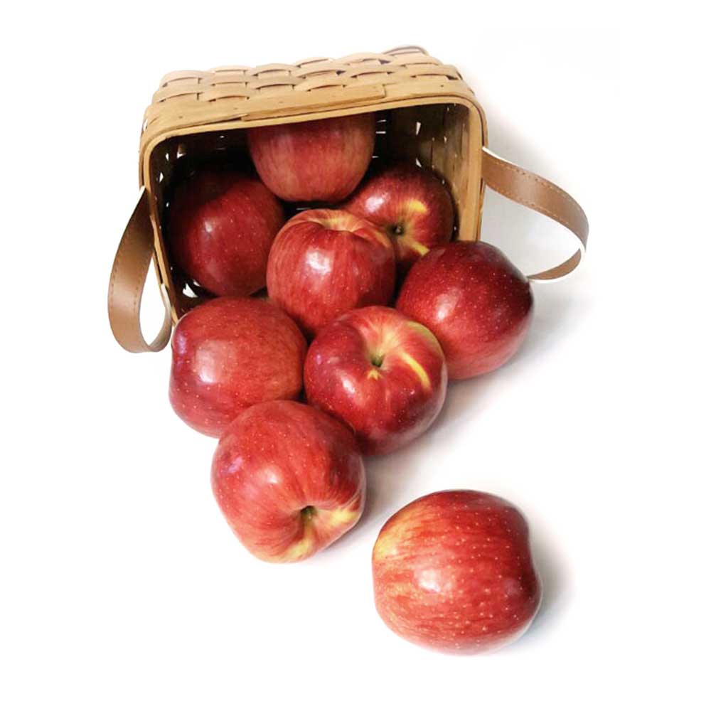 1708997121 thumbnail