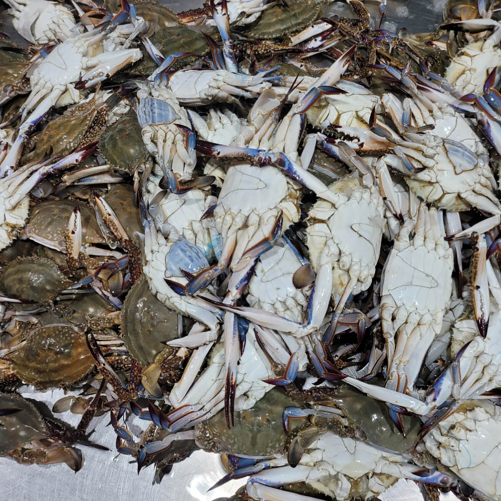 1709602207 thumbnail