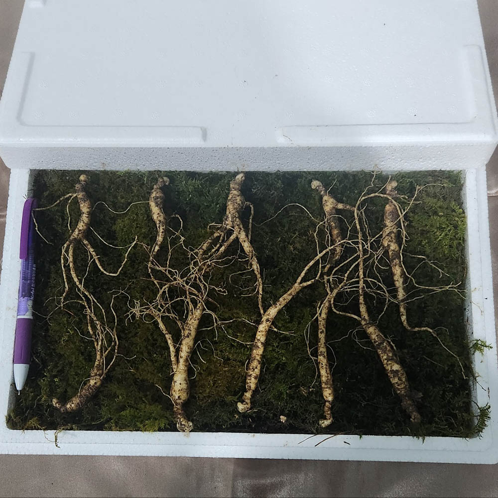 1709602209 thumbnail