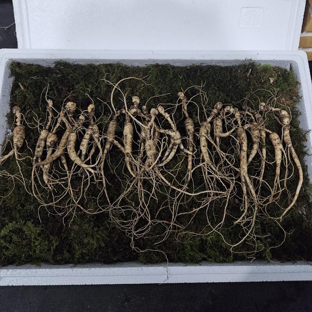 1709602210 thumbnail