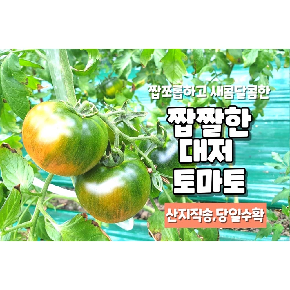 1709604031 thumbnail