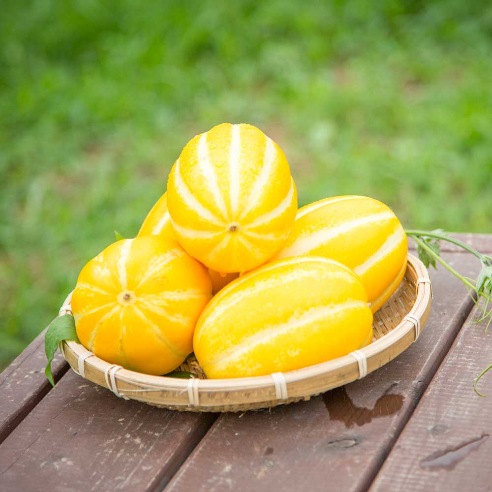 1709605151 thumbnail