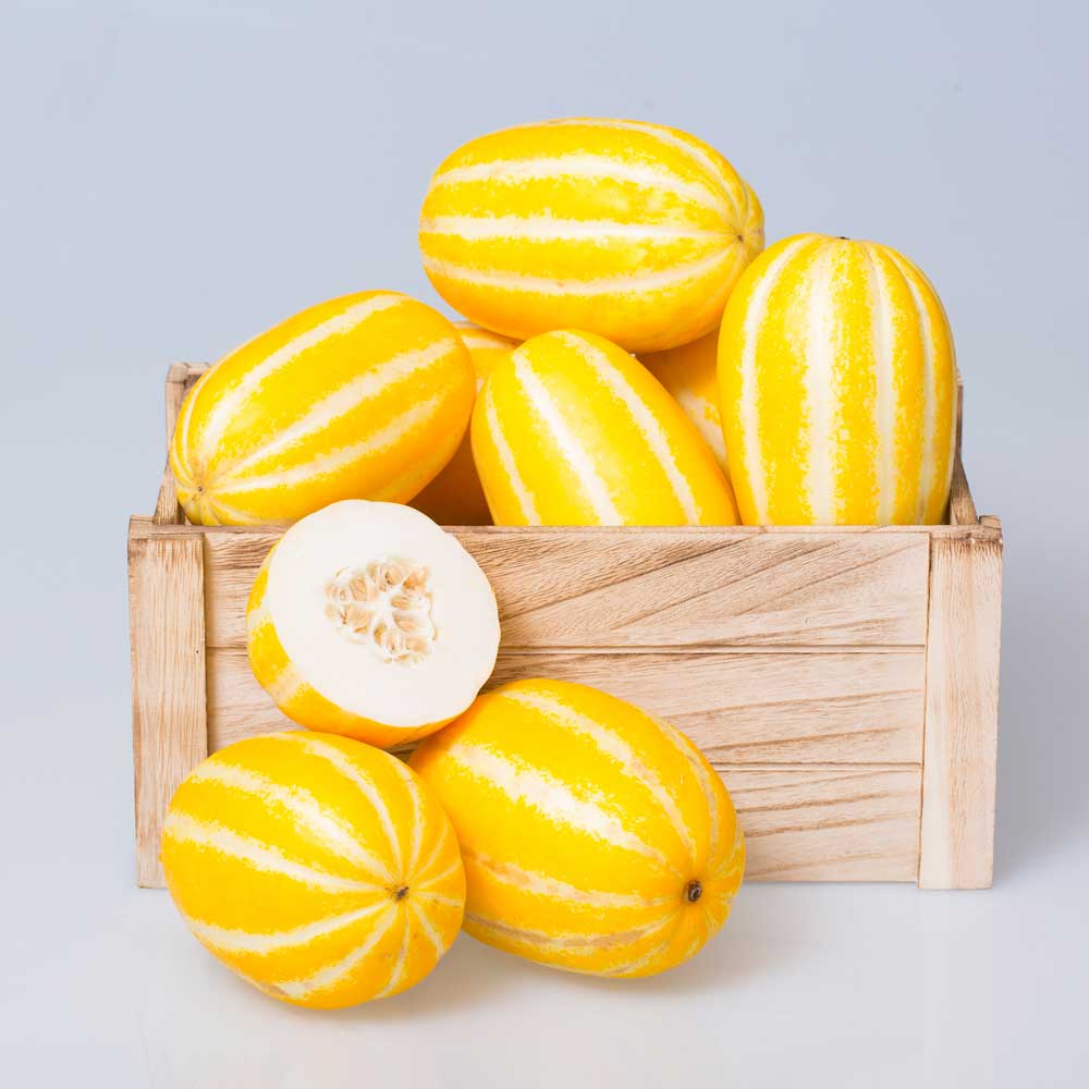 1709605152 thumbnail