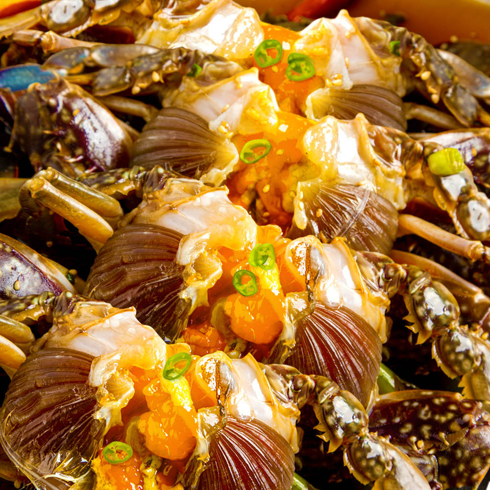 1709786109 thumbnail