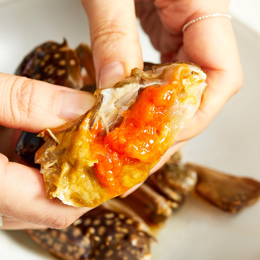 1709786111 thumbnail