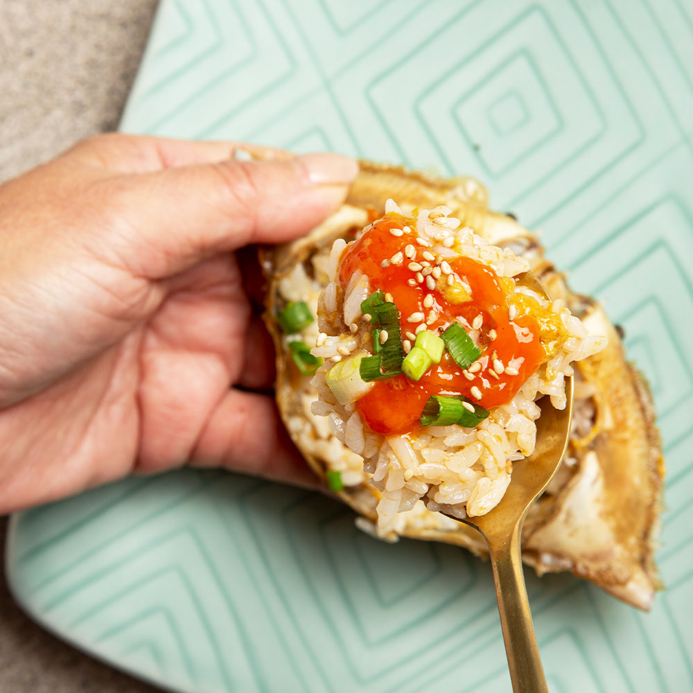 1709786112 thumbnail