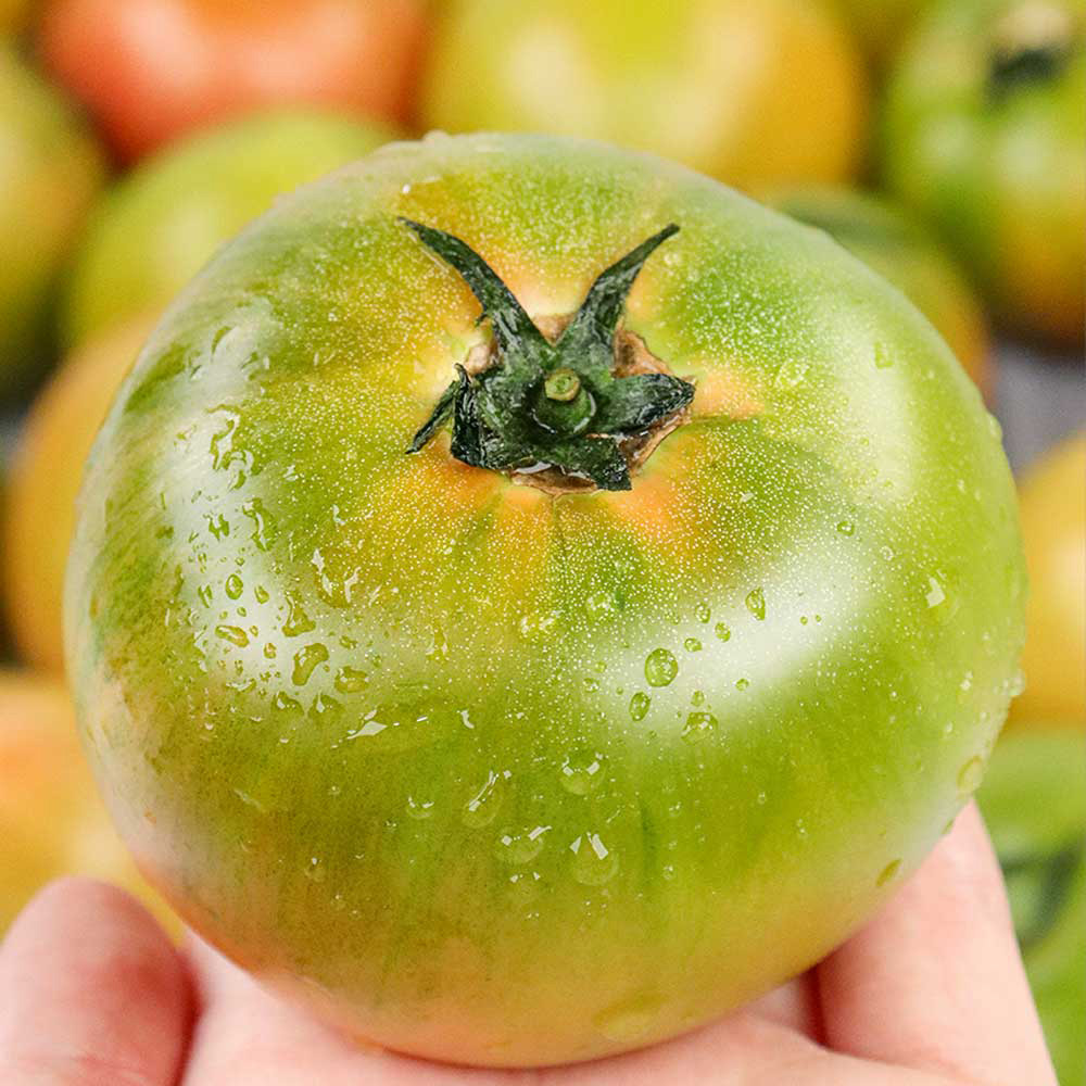 1709792660 thumbnail