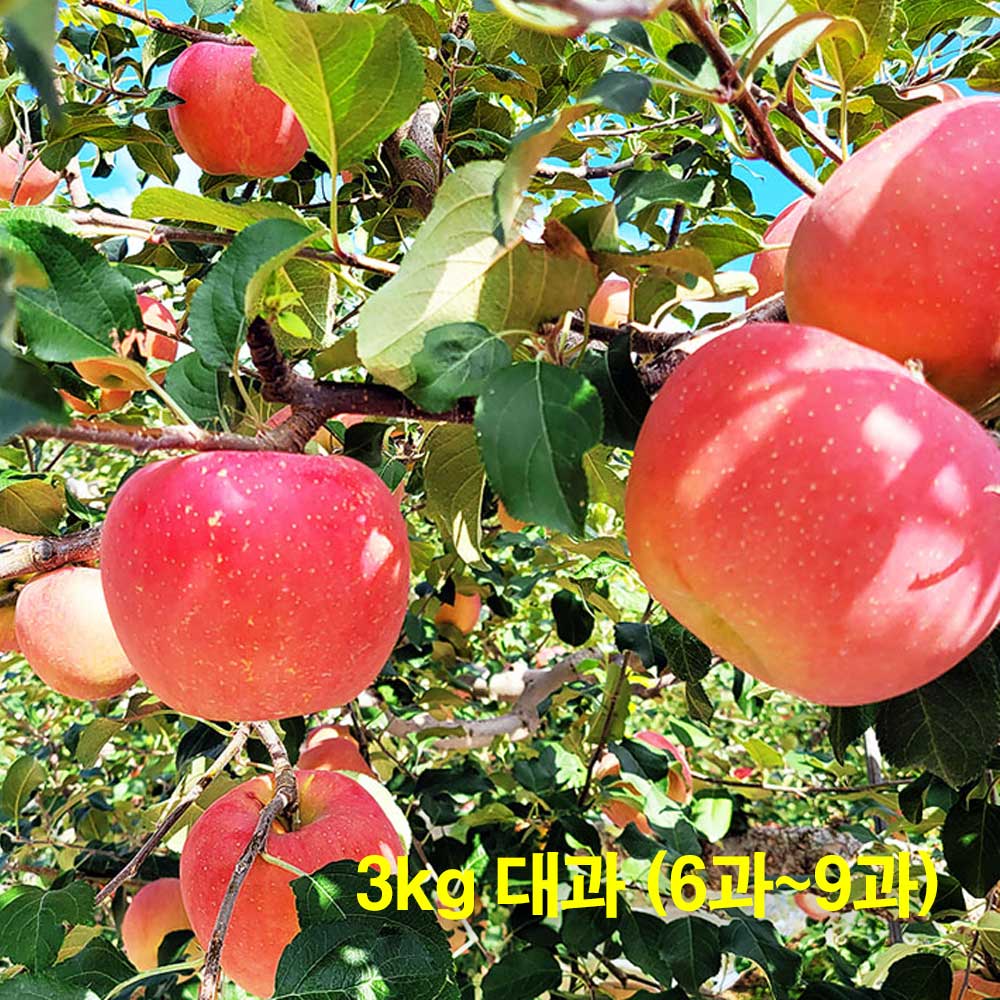 1709878126 thumbnail