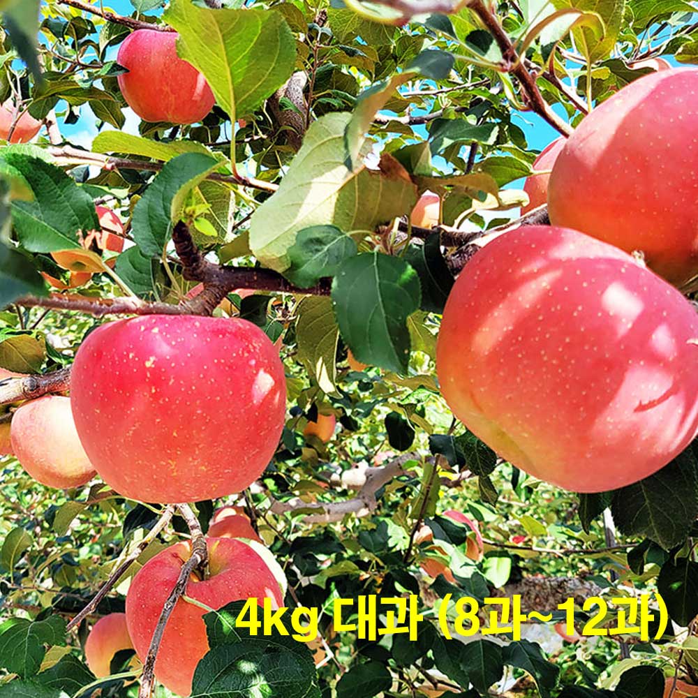 1709878127 thumbnail